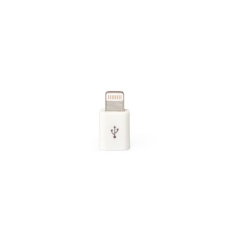 Adaptador-Lightning-20845-1727371548